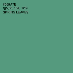 #559A7E - Spring Leaves Color Image