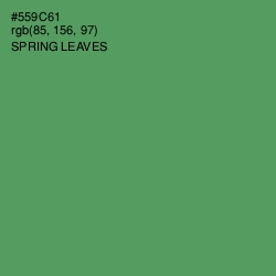 #559C61 - Spring Leaves Color Image