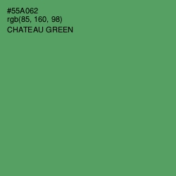 #55A062 - Chateau Green Color Image