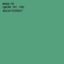 #55A17E - Aqua Forest Color Image
