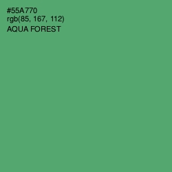 #55A770 - Aqua Forest Color Image