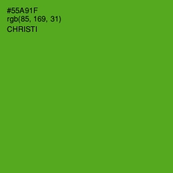 #55A91F - Christi Color Image