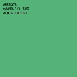 #55B378 - Aqua Forest Color Image