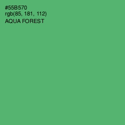 #55B570 - Aqua Forest Color Image