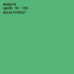 #55B578 - Aqua Forest Color Image