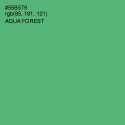 #55B579 - Aqua Forest Color Image