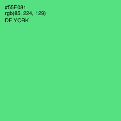 #55E081 - De York Color Image