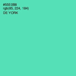 #55E0B8 - De York Color Image