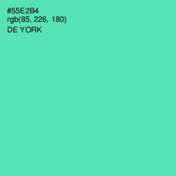 #55E2B4 - De York Color Image