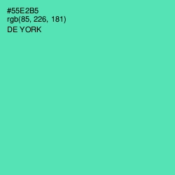 #55E2B5 - De York Color Image