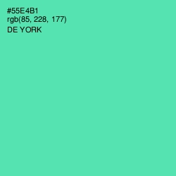 #55E4B1 - De York Color Image