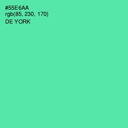 #55E6AA - De York Color Image