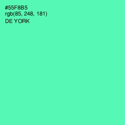 #55F8B5 - De York Color Image