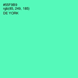 #55F9B9 - De York Color Image