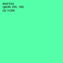 #55FFA9 - De York Color Image