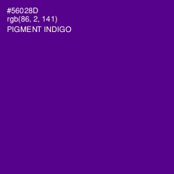 #56028D - Pigment Indigo Color Image