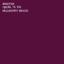 #560F3B - Mulberry Wood Color Image