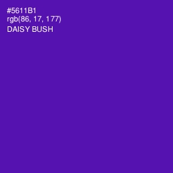 #5611B1 - Daisy Bush Color Image