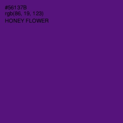 #56137B - Honey Flower Color Image