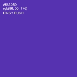 #5632B0 - Daisy Bush Color Image