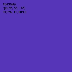 #5635B9 - Royal Purple Color Image