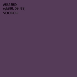 #563B59 - Voodoo Color Image