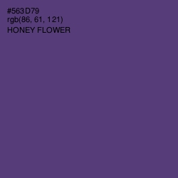 #563D79 - Honey Flower Color Image