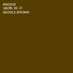 #563E02 - Saddle Brown Color Image