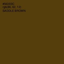 #563E0C - Saddle Brown Color Image