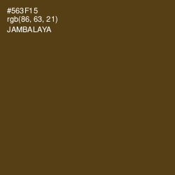 #563F15 - Jambalaya Color Image