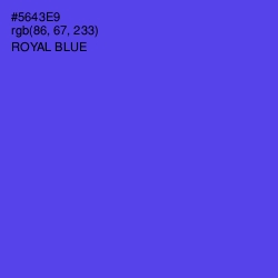 #5643E9 - Royal Blue Color Image