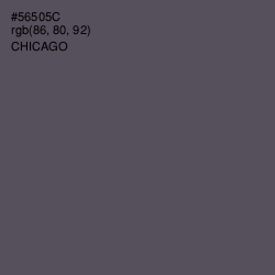 #56505C - Chicago Color Image