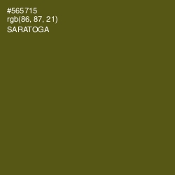 #565715 - Saratoga Color Image