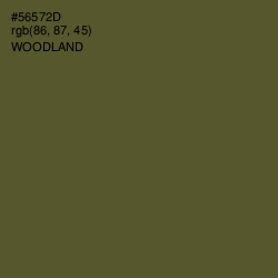 #56572D - Woodland Color Image