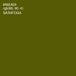 #565A04 - Saratoga Color Image