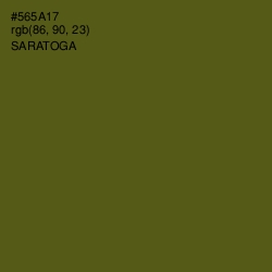 #565A17 - Saratoga Color Image