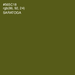 #565C18 - Saratoga Color Image