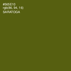 #565E10 - Saratoga Color Image