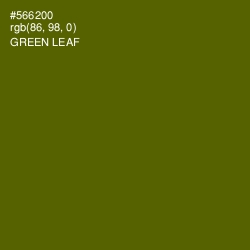 #566200 - Green Leaf Color Image