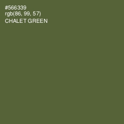 #566339 - Chalet Green Color Image
