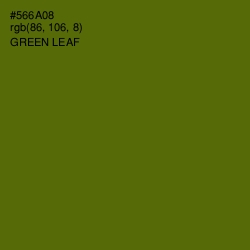 #566A08 - Green Leaf Color Image