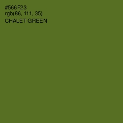 #566F23 - Chalet Green Color Image