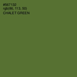 #567132 - Chalet Green Color Image