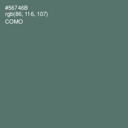 #56746B - Como Color Image