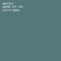 #56797C - Cutty Sark Color Image