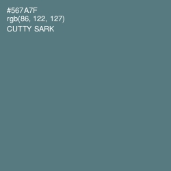 #567A7F - Cutty Sark Color Image