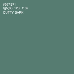 #567B71 - Cutty Sark Color Image
