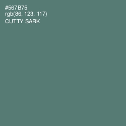 #567B75 - Cutty Sark Color Image