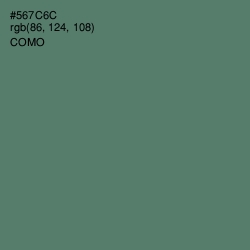 #567C6C - Como Color Image