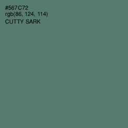 #567C72 - Cutty Sark Color Image